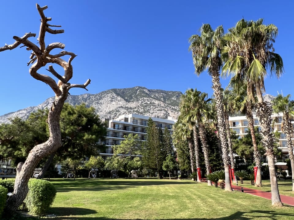 Gartenanlage TUI MAGIC LIFE Beldibi +16