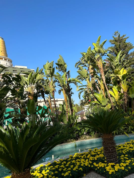 Ausblick Hotel Delphin Imperial