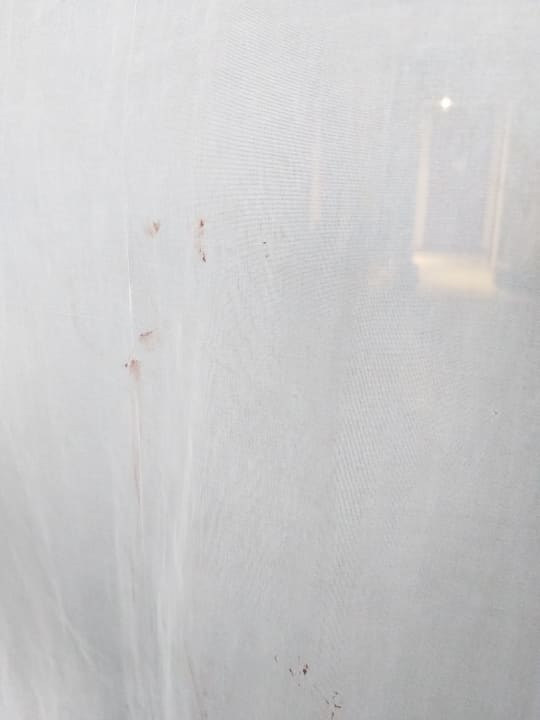 Zimmer Imperial Shams Abu Soma