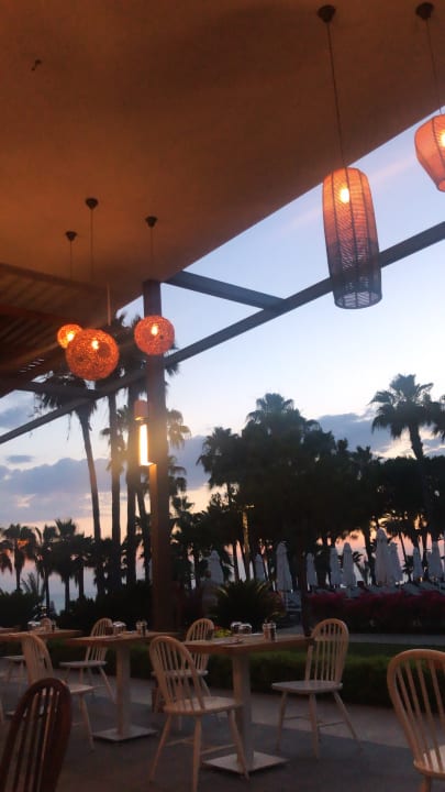 Gastro Acanthus Cennet Barut Collection