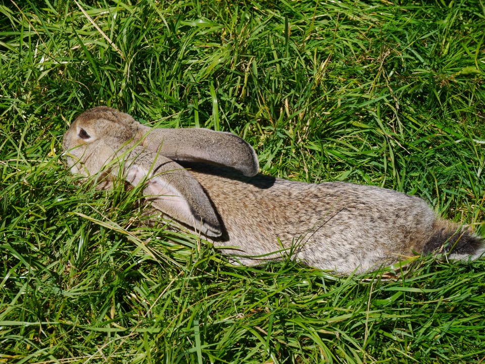 Sonstiges Hotel Almfrieden