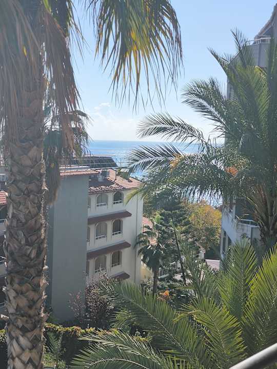 Ausblick Hotel Gardenia Beach