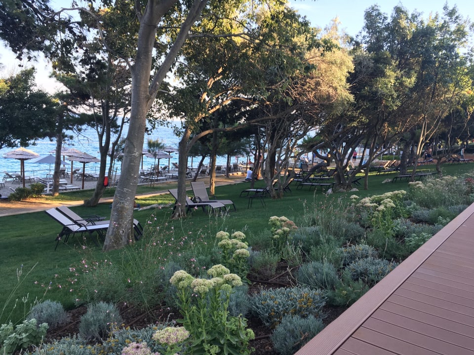 Ausblick Valamar Girandella Designed for Adults