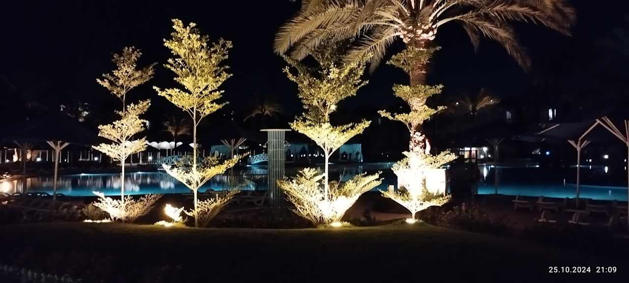 Gartenanlage Desert Rose