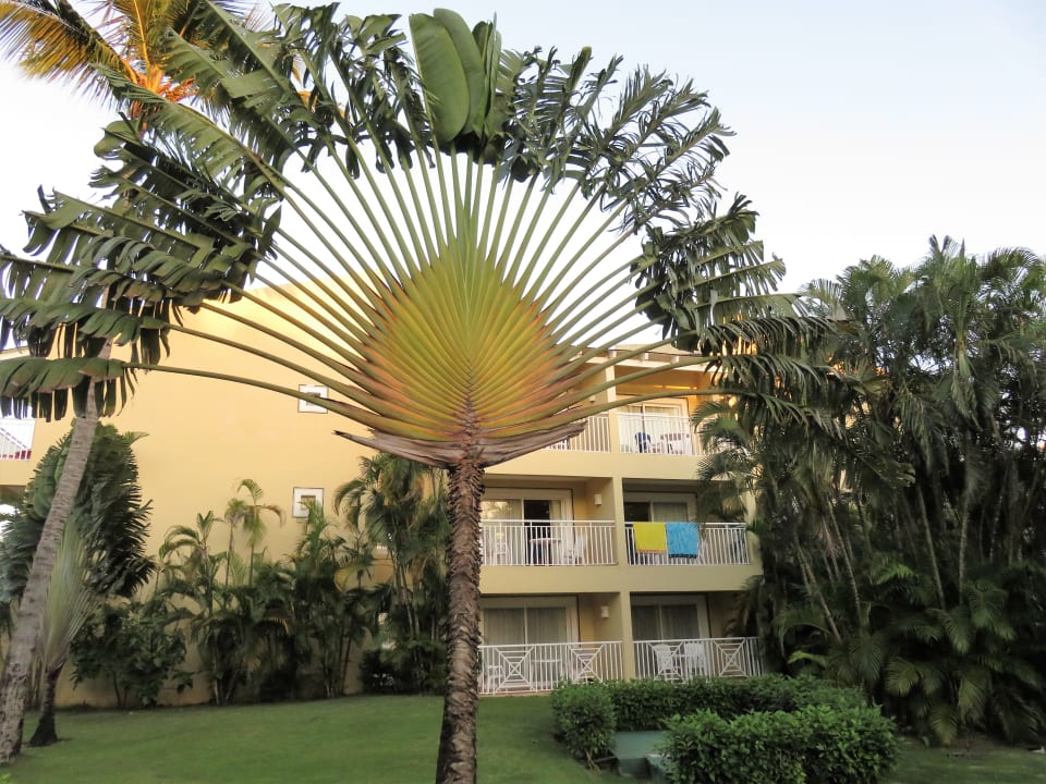 Außenansicht Bahia Principe Grand El Portillo