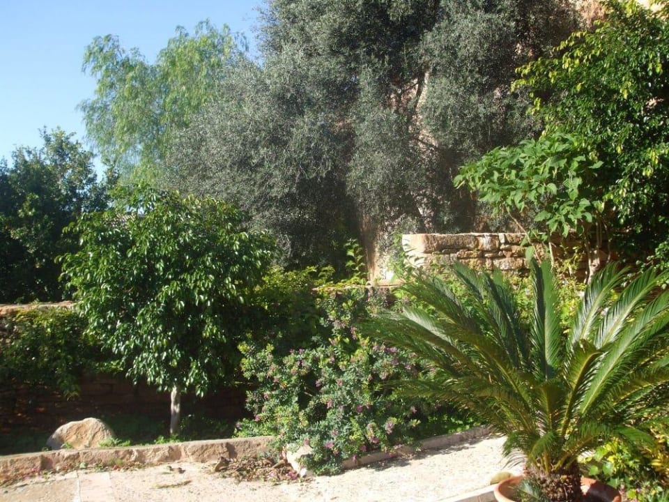 Im Innenhof Finca Sa Carrotja - Adults only