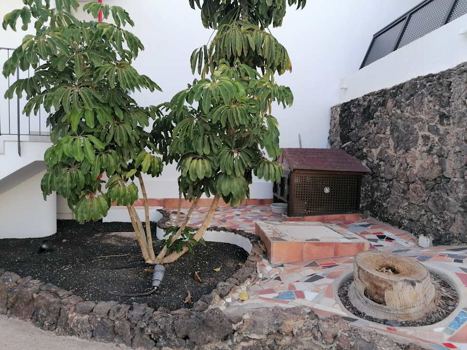 Gartenanlage Sol Fuerteventura Jandia - All Suites