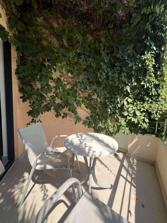 Zimmer Hotel Eva Bay