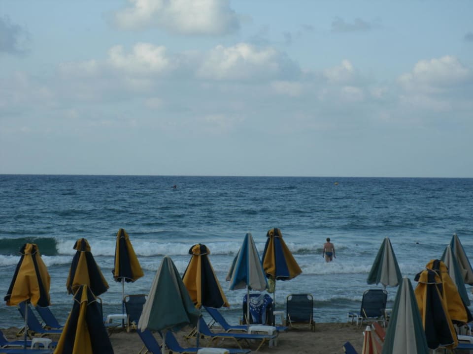 Strand am Abend Cactus Royal