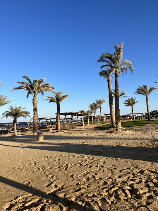 Strand Steigenberger Resort Alaya Marsa Alam - Red Sea - Adults only