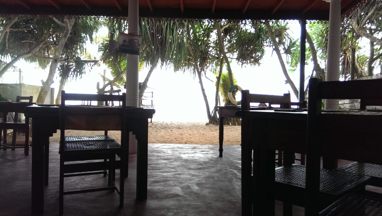 Ausblick aus dem "Speisesaal" Hotel Haus am Meer Wilde Ananas