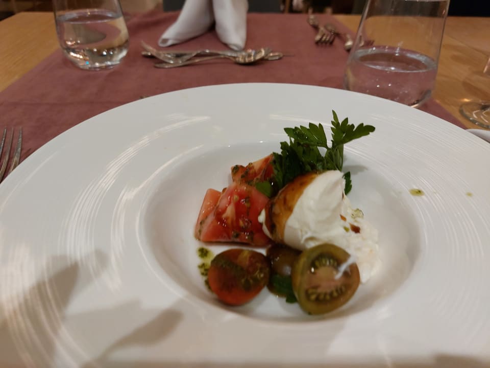 Gastro Acanthus Cennet Barut Collection