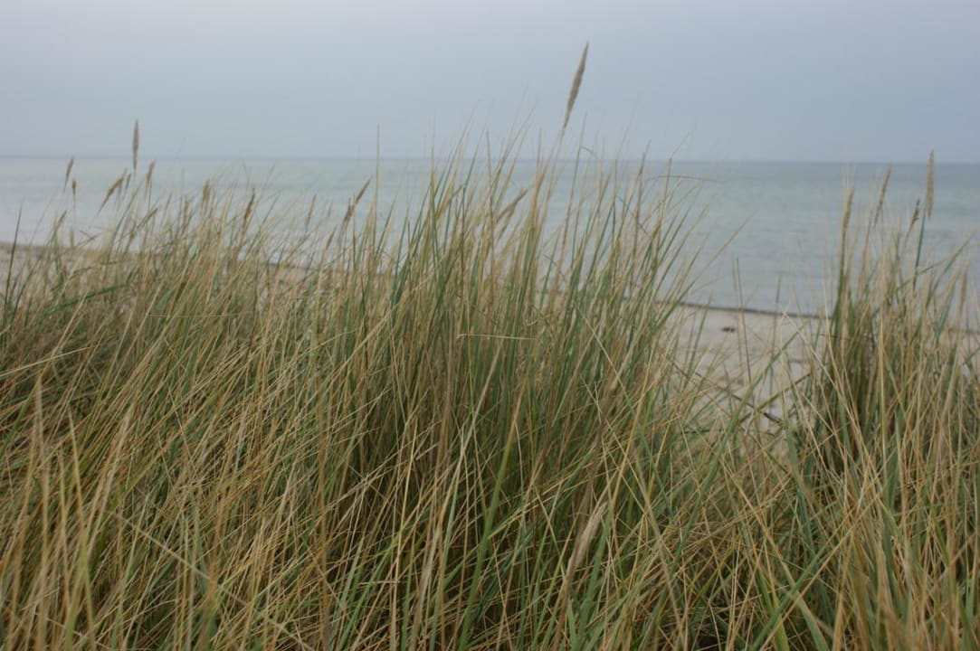 Am Strand Stranddorf Augustenhof