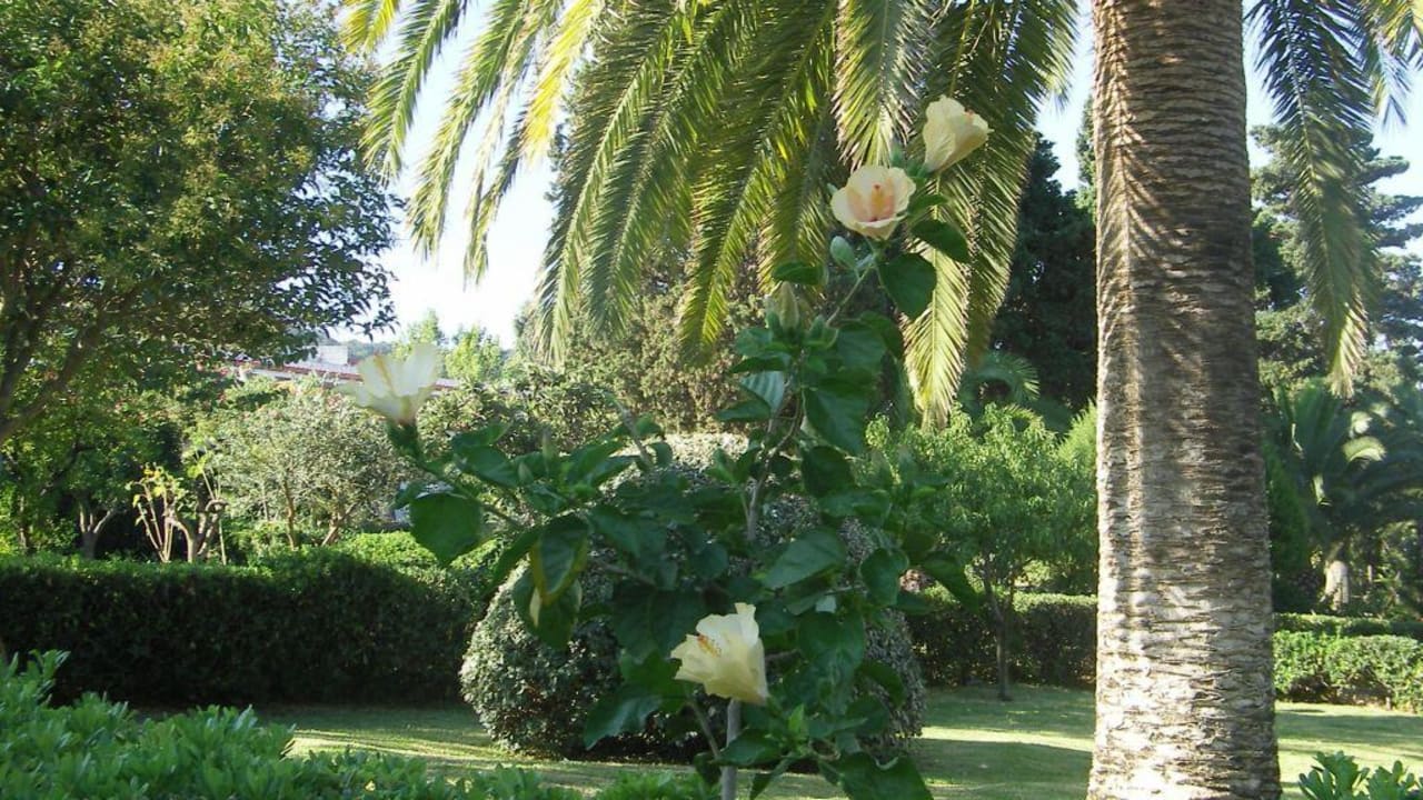 Gartenanlage Aldiana Club Rocca Nettuno Calabria