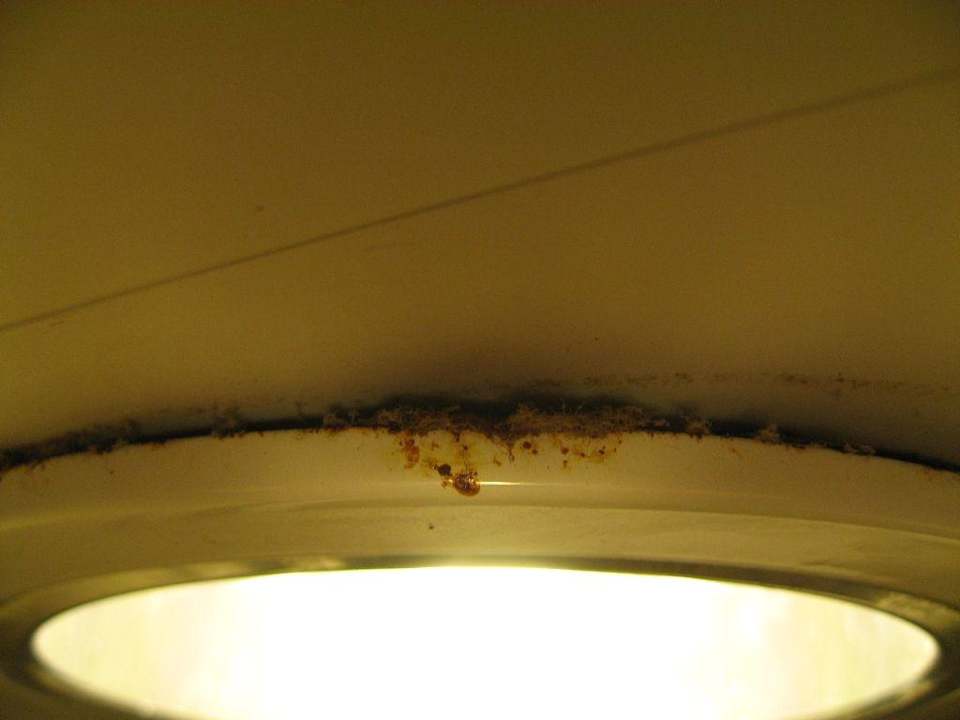 Unser erstes “Deluxezimmer” im Haus Nr. 61 Grand Palladium Select Bávaro Resort & Spa