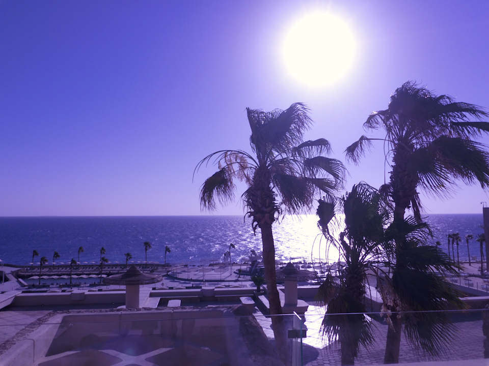 Ausblick Pickalbatros Citadel Resort