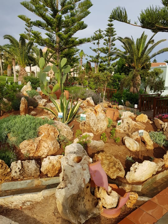 Gartenanlage Iberostar Selection Creta Marine