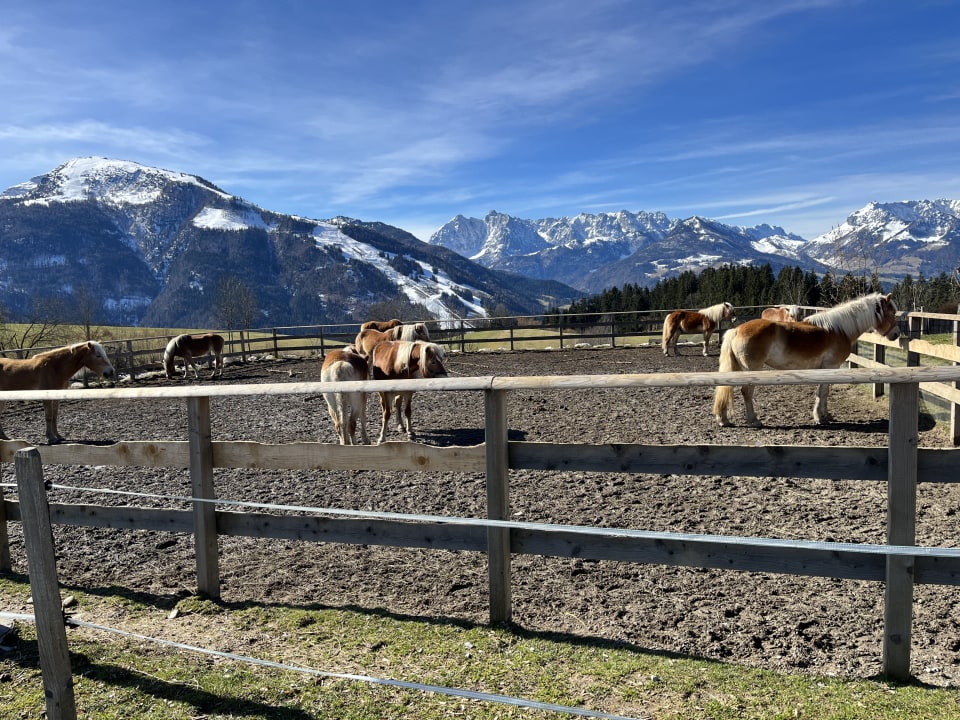 Sonstiges Wohlfühlresort Peternhof