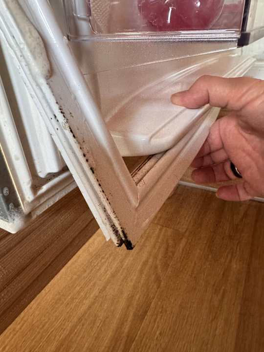 Zimmer Center Parcs Park Bostalsee