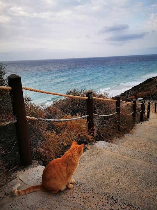 Strand TUI MAGIC LIFE Fuerteventura