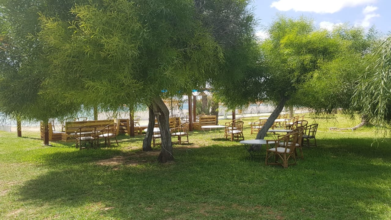 Gartenanlage Hotel El Mouradi Djerba Menzel