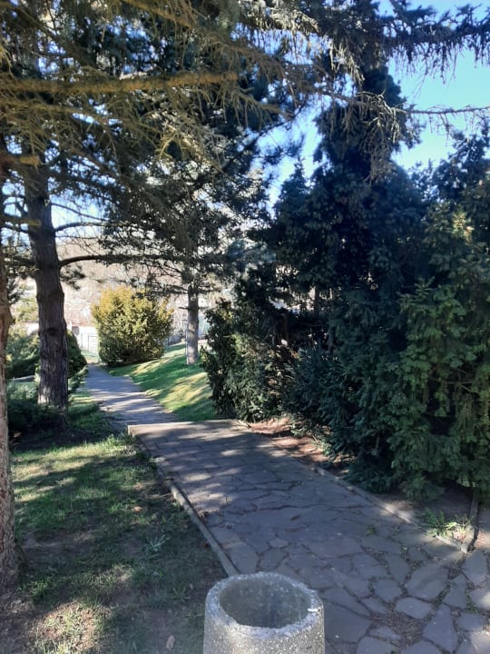 Gartenanlage Landhotel Harz