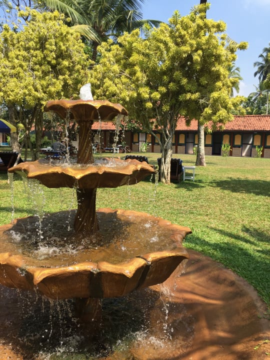 Gartenanlage Aida Ayurveda Resort & Spa