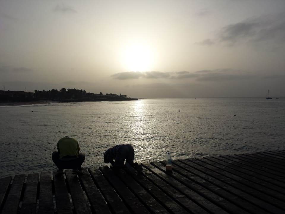 Ausblick Oasis Salinas Sea