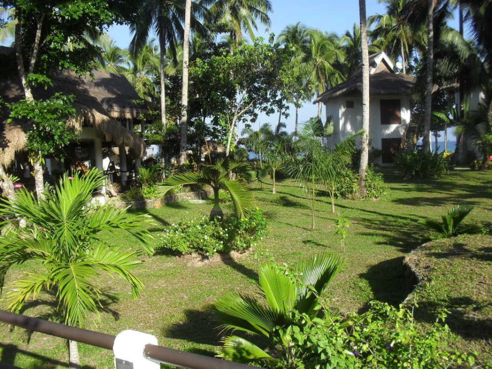 Tropische Vegetation im Hotelgarten Daluyon Beach & Mountain Resort