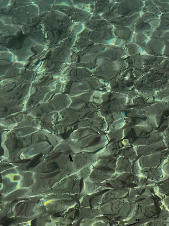 Sonstiges Pickalbatros Aqua Park Resort - Hurghada