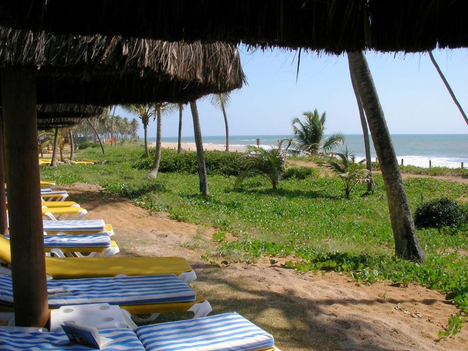 Gartenanlage Iberostar Waves Bahia