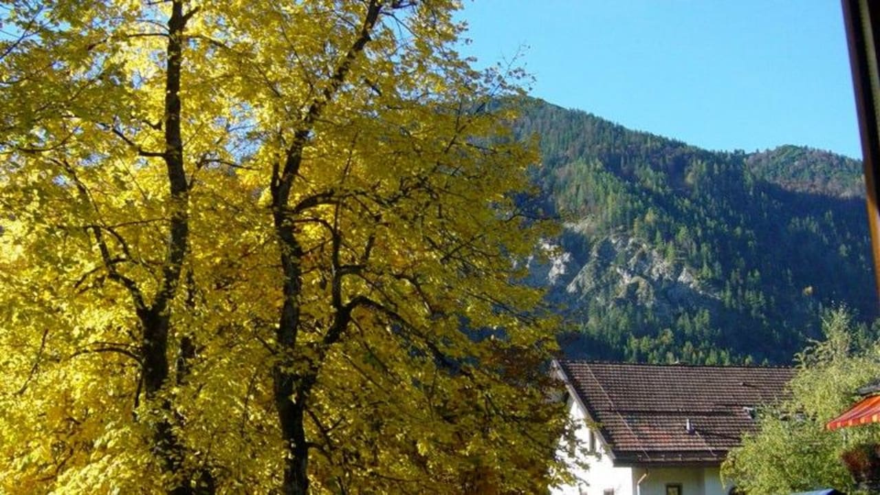 Ausblick Herbst Hotel Königslinde