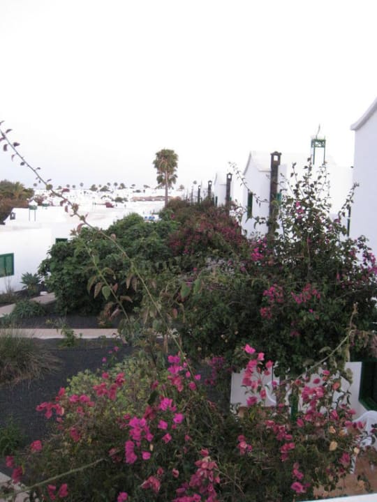 Blick in die Anlage Hotel Hyde Park Lane