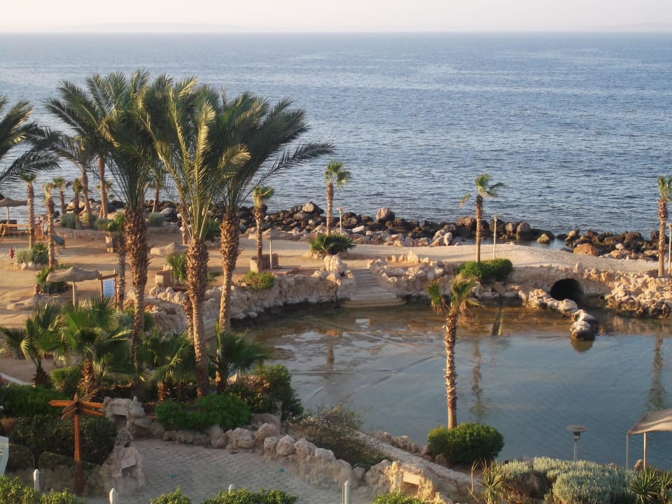 Вид из номера Pickalbatros Citadel Resort