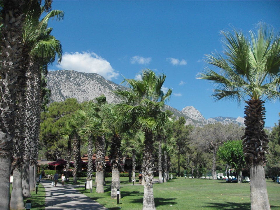 Parkanlage Balmy Foresta