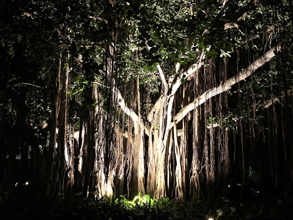 Gartenanlage Shangri-La Le Touessrok Mauritius