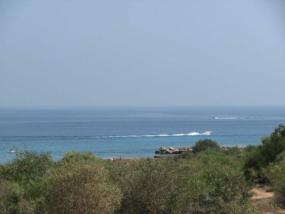 Blick von der Straße Hotel Harry's