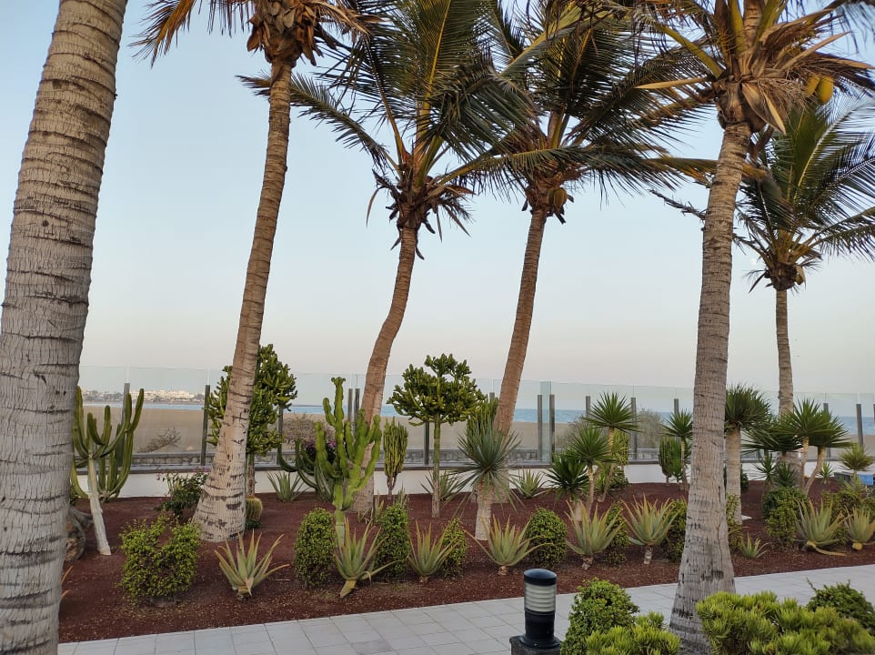 Gartenanlage Hotel Las Costas