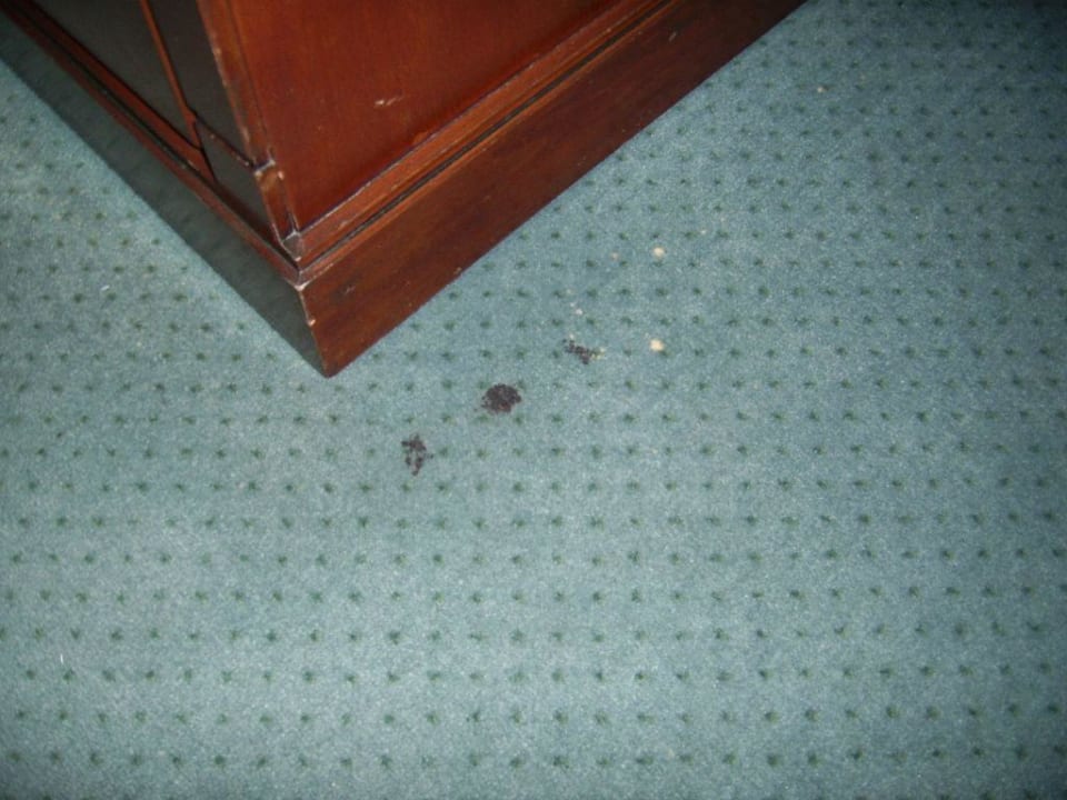 Diese Flecken waren nicht die Einzigen  SEETELHOTEL Ostseeresidenz Bansin