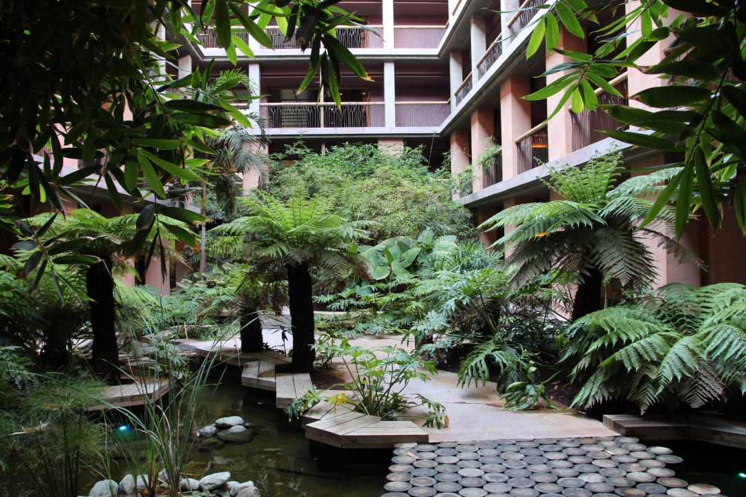 Garten im Inneren des Hotels Lopesan Baobab Resort