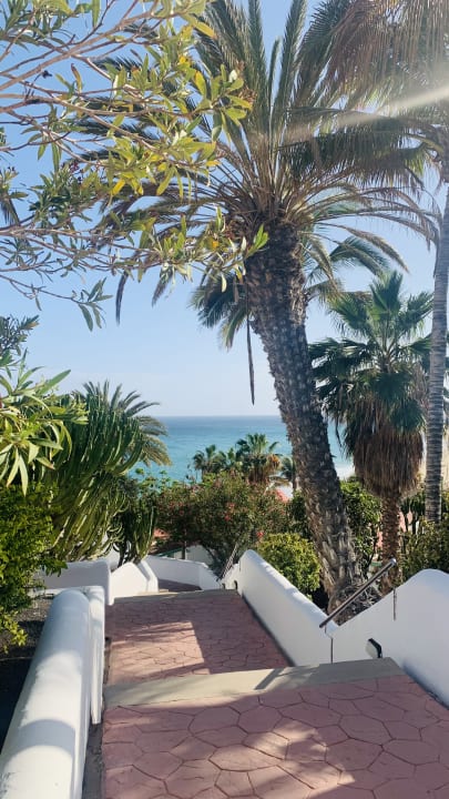 Gartenanlage Aldiana Club Fuerteventura