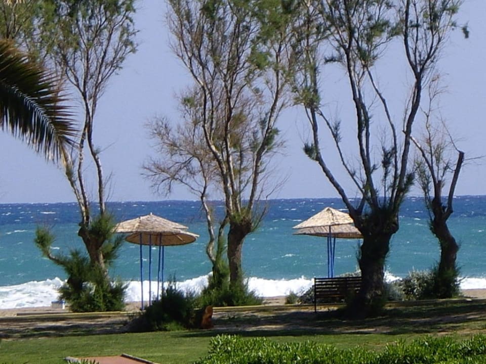 Gartenanlage mit Blick zum Meer Santa Marina Beach
