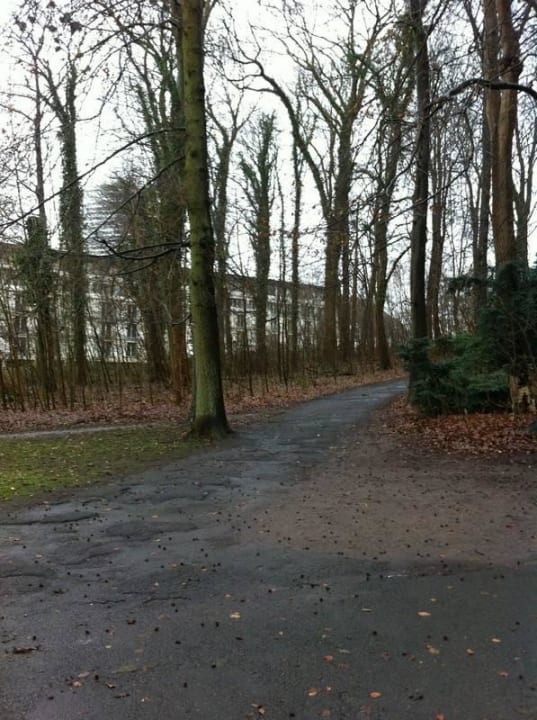Blick vom Bahnhofsvorplatz durch Wald zum Hotel A-ROSA Travemünde