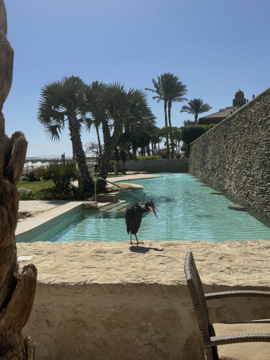 Gartenanlage Makadi Spa - Adults only