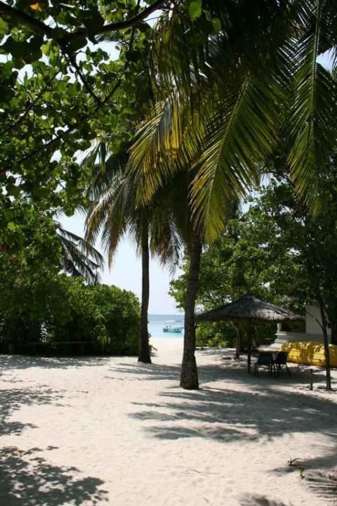 Weg zur Beach Bar NH Collection Maldives Reethi Resort