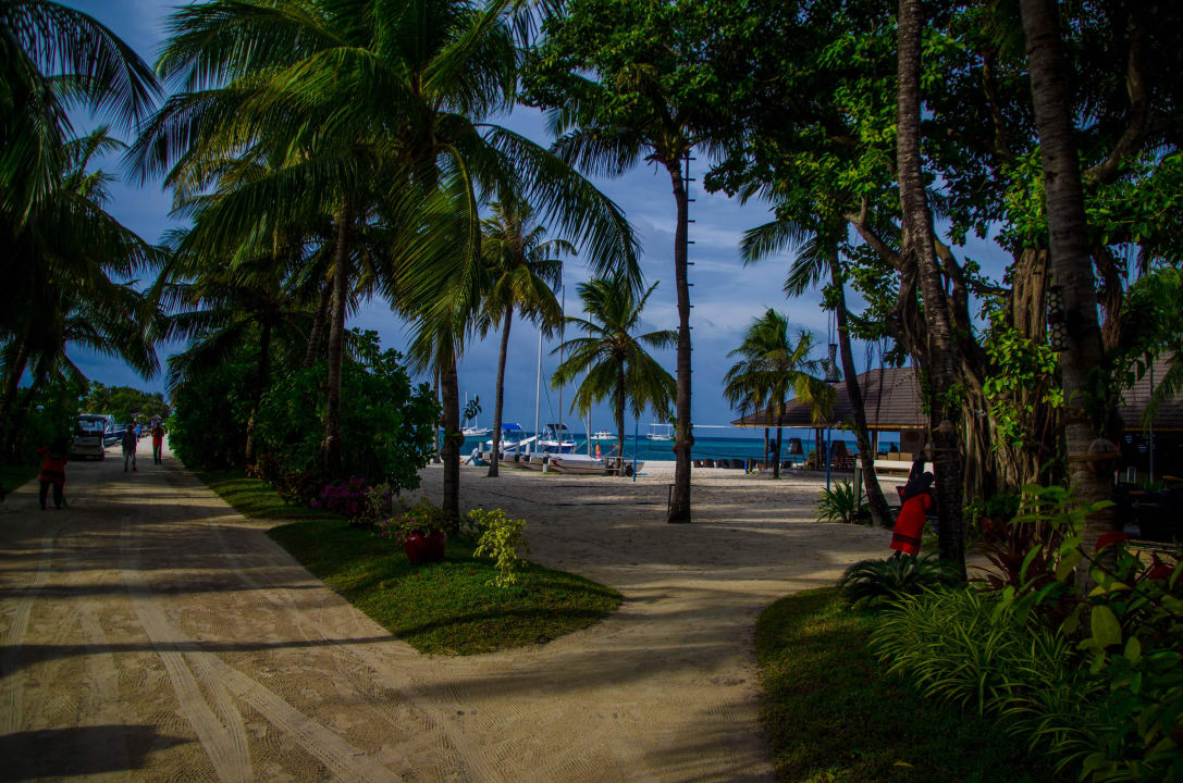Links der Weg führt zum Steg (Wasserflugzeug) Kuredu Island Resort & Spa