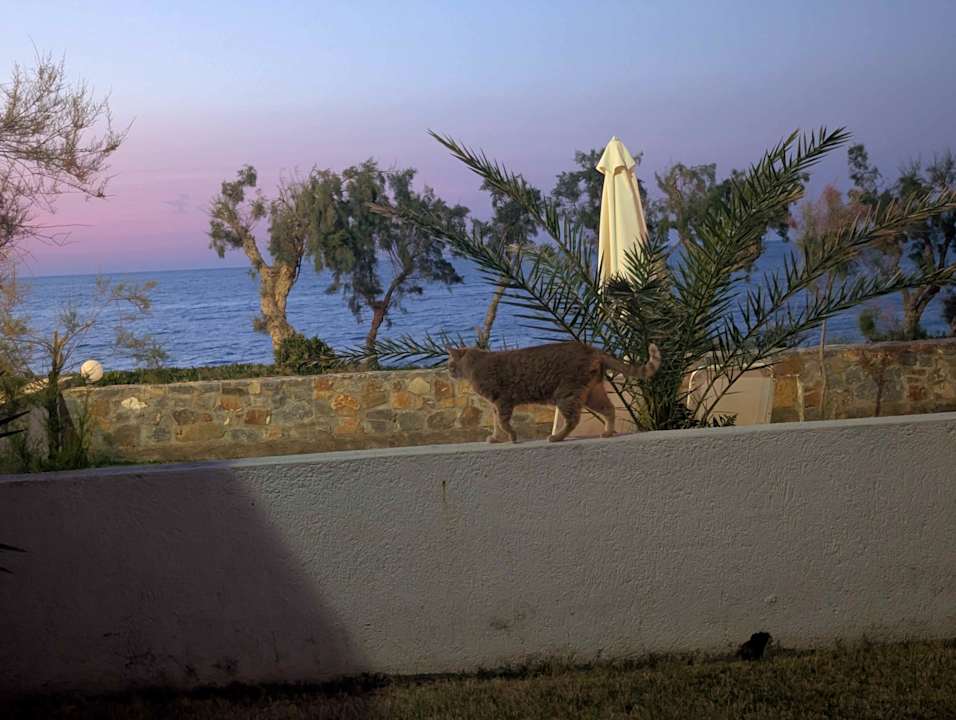 Außenansicht Maritimo Beach Hotel