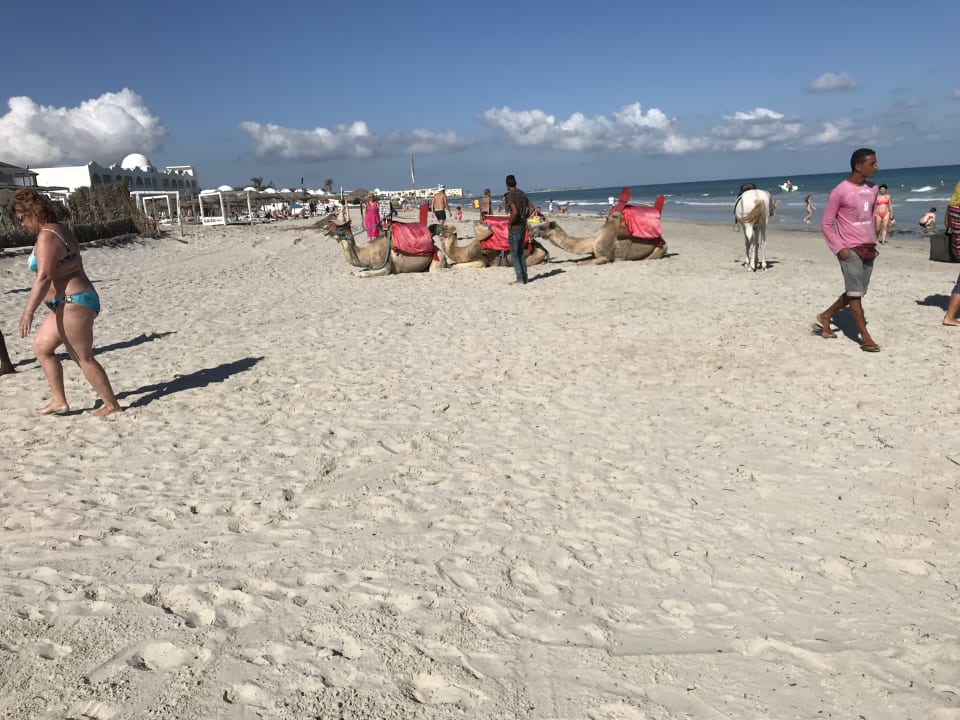Strand Djerba Sun Beach Hotel & Spa