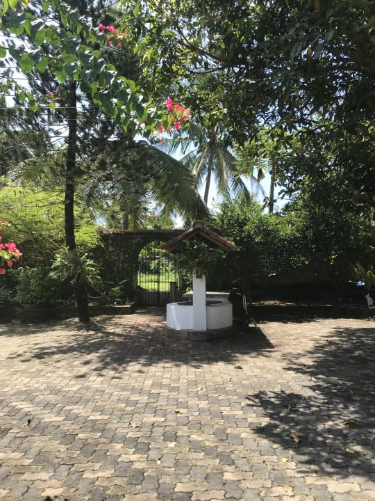 Gartenanlage Ayubowan Swiss Lanka Bungalow Resort