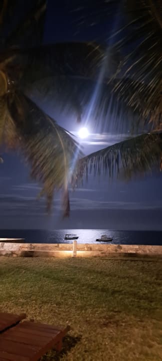Ausblick Neptune Palm Beach Boutique Resort & Spa